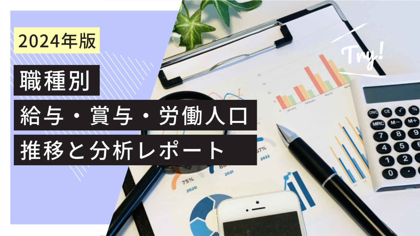 『【2024年版】職種別：給与・賞与・労働人口推移と分析レポート』記事のイメージ図